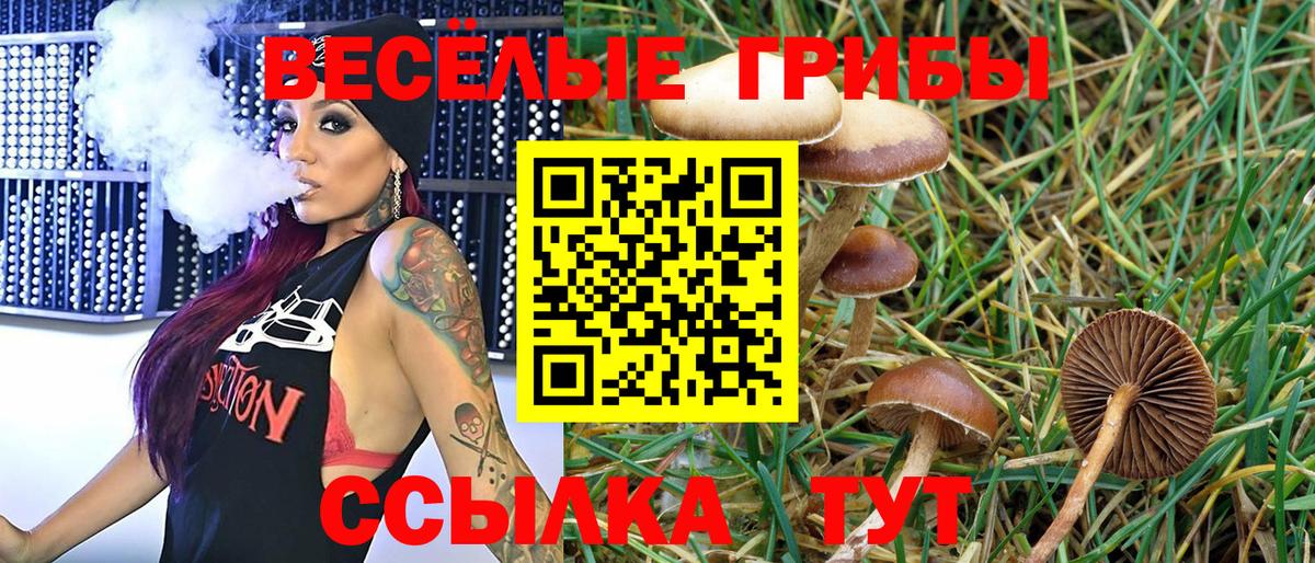 Галлюциногенные грибы Psilocybine cubensis  Галлюциногенные грибы MAGIC MUSHROOMS  Россия  закладка  Вход с VPN 